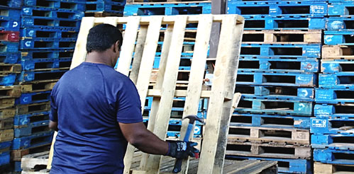Reparación pallets Panama